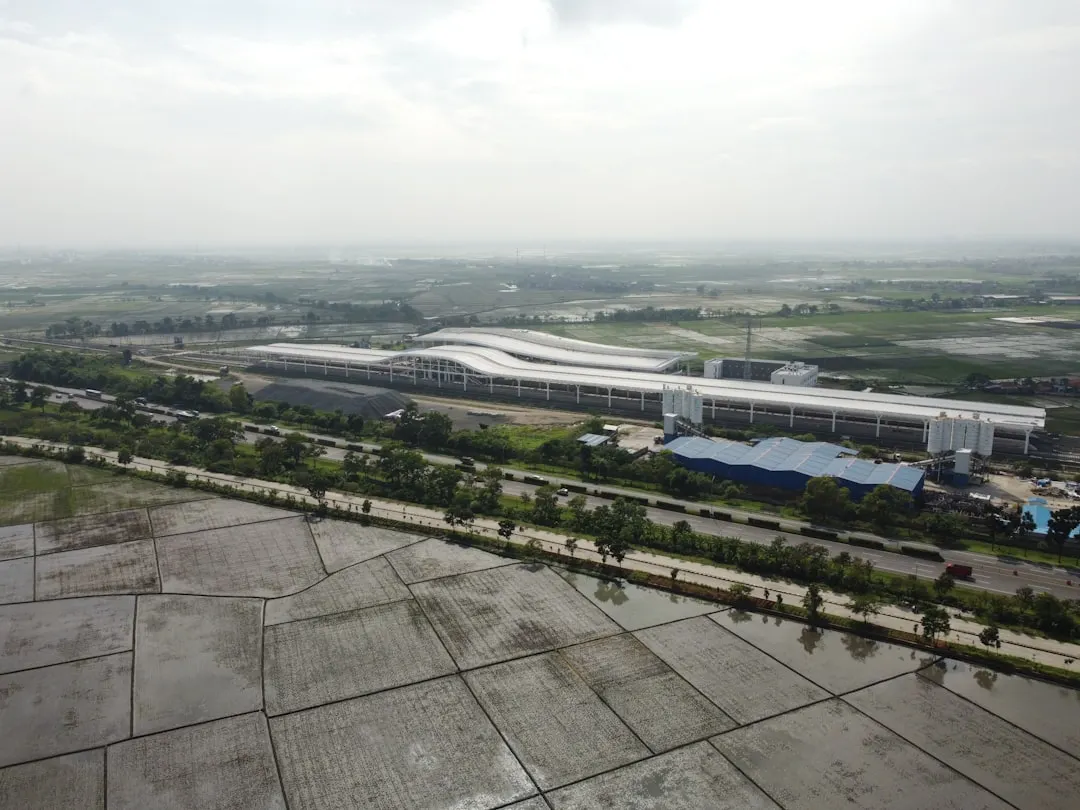 家庭护理与钟点工服务差异对比及适用场景分析