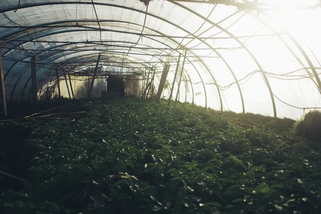 廊坊家政保洁服务流程标准化与质量管控解析