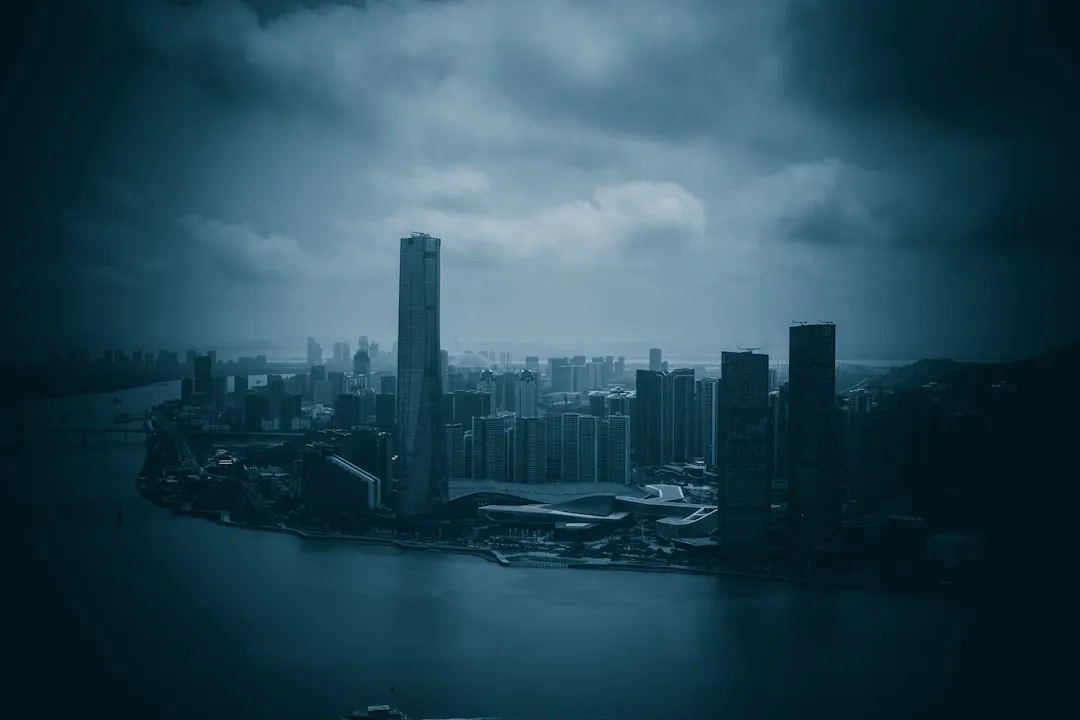 导航家政钟点工与固定保姆服务模式对比分析