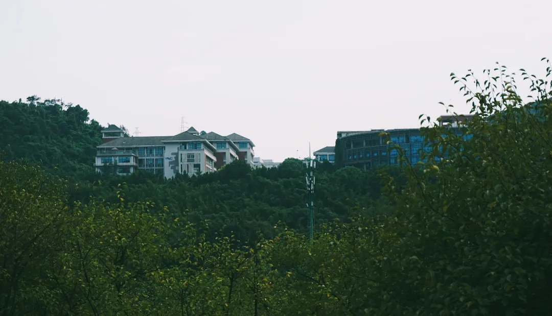 廊坊家政保洁服务技术标准与操作规范详解
